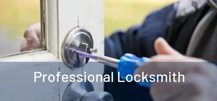  Professional Locksmith 